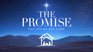 Christmas-Campaign-web